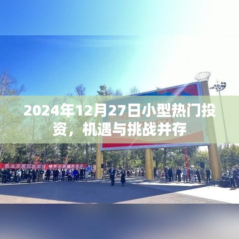 2024年小型投资机遇与挑战并存,投资热点解析