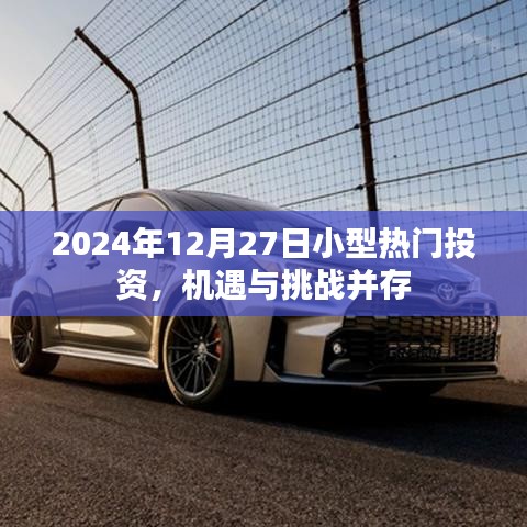 2024年小型投资机遇与挑战并存,投资热点解析