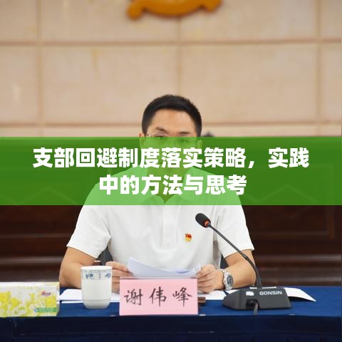 支部回避制度落实策略,实践中的方法与思考