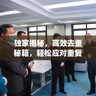 独家揭秘,高效去重秘籍,轻松应对重复困扰!