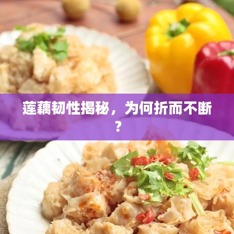 莲藕韧性揭秘,为何折而不断?