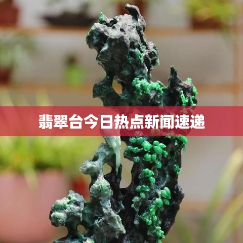 翡翠台今日热点新闻速递