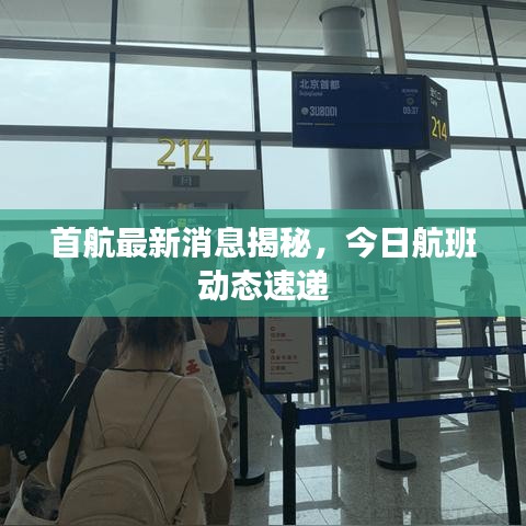 首航最新消息揭秘,今日航班动态速递