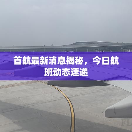 首航最新消息揭秘,今日航班动态速递