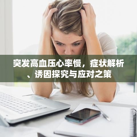 突发高血压心率慢,症状解析、诱因探究与应对之策