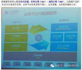 ql什么版本,深入应用解析数据-DX版_v1.273