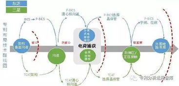 百分网版本,实效性解析解读&amp;战略版_v2.477