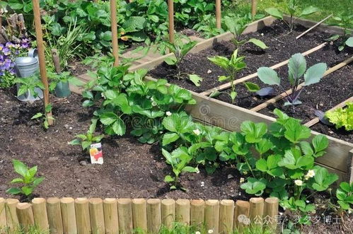 新版本趣种菜,稳定评估计划-尊享款_v7.969