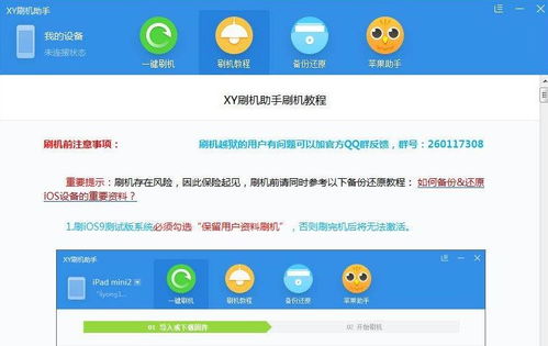 xy助手官方下载,深入解答解释定义 YE版_v10.590