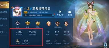 网络安全顾问眼中的安全软件国战类手游排行榜及王者荣耀微博官方下载专家解析_Premium_v1.178,全面解析网络威胁与防御策略