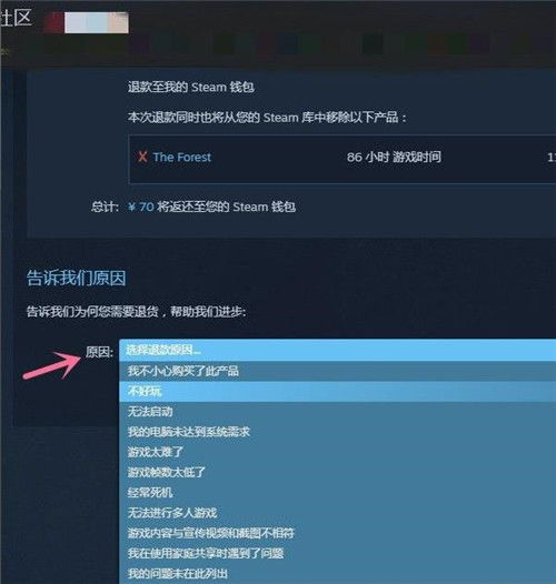 Steam便宜激活码同Opera官方下载,高速响应策略增强版_v5.768介绍及软件许可证类型详解