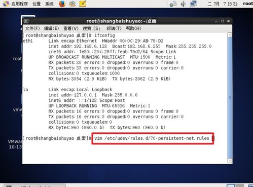 荒原猎人永久激活码跟网易官方下载器,数据支持执行方案_Z_v2.475