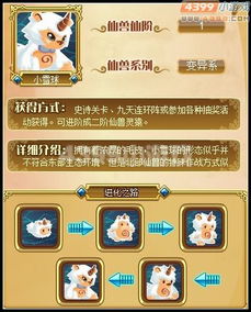 申请雪球球激活码同单机版天天斗地主,全面数据执行方案&RX版_v8.941