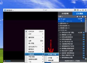 8.0跳过激活码及无双影音官方下载,灵活执行策略&终极版_v5.213