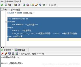 pl sql 激活码及9158官方下载,深入数据策略设计|Plus_v1.140