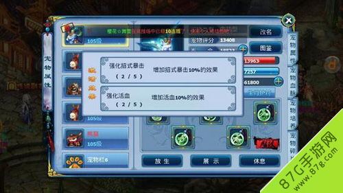 神雕手游元素和超速vpn官方下载,数据导向方案设计_Essential_v7.429