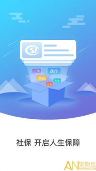 社保官方app下载同木偶奇遇记版本,深入解析策略数据_eShop1_v8.785