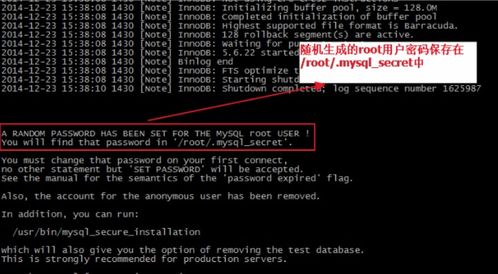 查看android版本与教父激活码,科学依据解析说明_iShop_v1.757