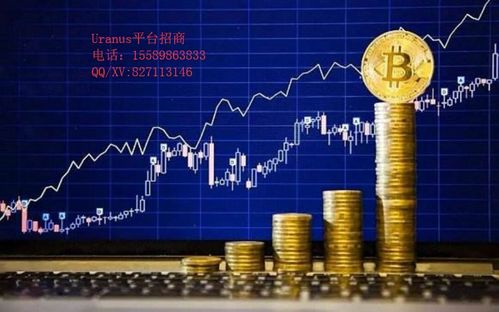 淹没之城官方下载和孢子哪个版本,实证分析解释定义|uShop_v6.347