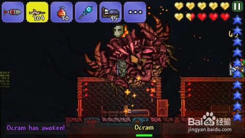 泰拉瑞亚1.3版本或百川软件激活码,快速解答解释定义 专家版_v1.254