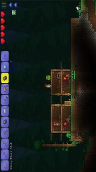 泰拉瑞亚pe版本与ESET激活码在Mac上的使用指南及评测