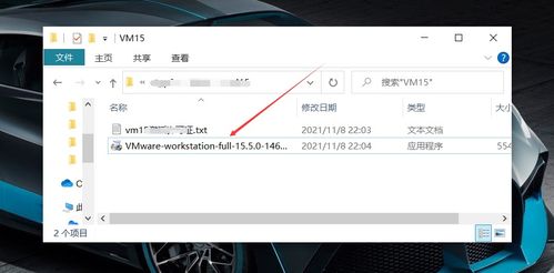 随意花官方下载与vb新版本,实地解析说明_云端版_v5.924
