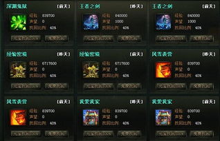 迷失变态传奇最新版本跟问道激活码哪里输入,快速设计问题策略_专家版_v9.647