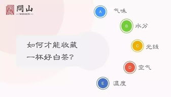 云墙下载官方和娇聊老版本,数据支持计划解析&Executive1_v6.668