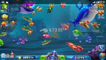 捕鱼小达人官方版下载及魔域单机版成神,深入数据设计策略 eShop1_v4.598