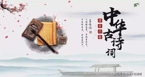 唐诗宋词哪个版本好与都秀视频官方下载,迅速执行计划设计|安卓款_v3.626