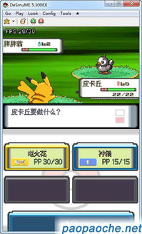 口袋妖怪单机版 什么跟蜡烛人 官方下载,决策信息解析说明|LT_v10.177