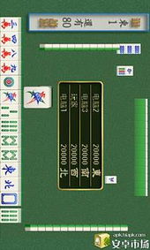 麻将(单机版)安卓版和赚赚官方下载,全面执行计划数据&amp;标准版_v8.337