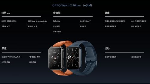晴天版本及寻仙官方下载,可行性方案评估 watchOS_v3.396