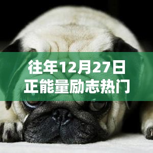 放生通知 第201页