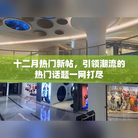 十二月热门新帖大汇总，潮流话题一网打尽