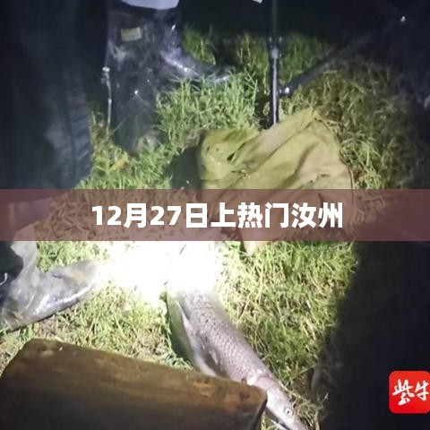 活物掠影 第195页