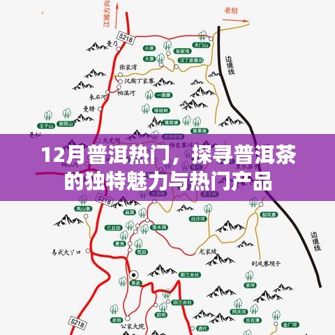 探寻普洱茶独特魅力与热门产品，十二月普洱盛宴开启