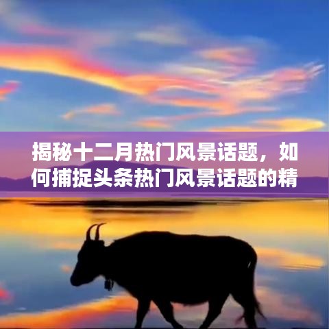 揭秘十二月风景热点，如何捕捉头条风景话题精髓