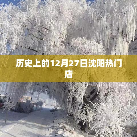 沈阳热门店历史回顾，揭秘十二月二十七日盛况