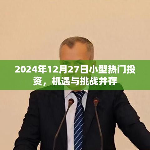 2024年小型投资机遇与挑战并存，投资热点解析
