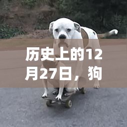 联系我们 第203页