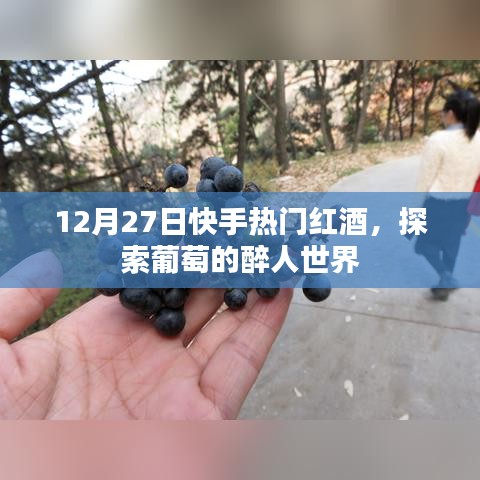 快手热门红酒探秘，葡萄的醉人世界