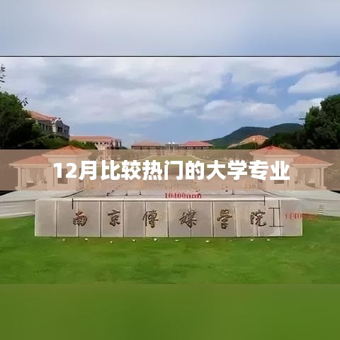 热门大学专业榜单揭晓，12月最新趋势