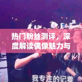 热门粉丝测评，深度解读偶像魅力与粉丝互动体验