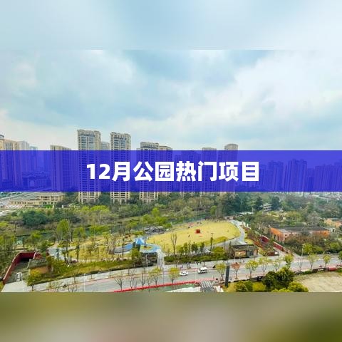 冬季公园游玩热门项目推荐
