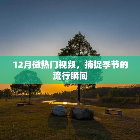 贵不期骄 第3页