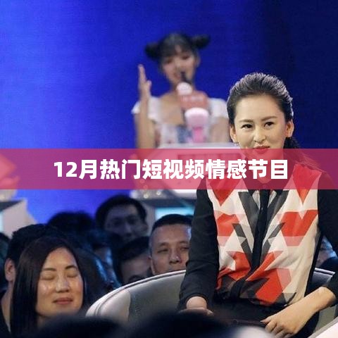 12月热门情感短视频节目盘点