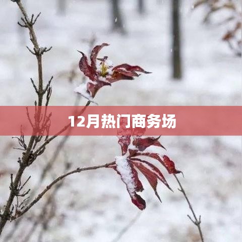 年终商务盛宴，揭秘十二月热门商务场所