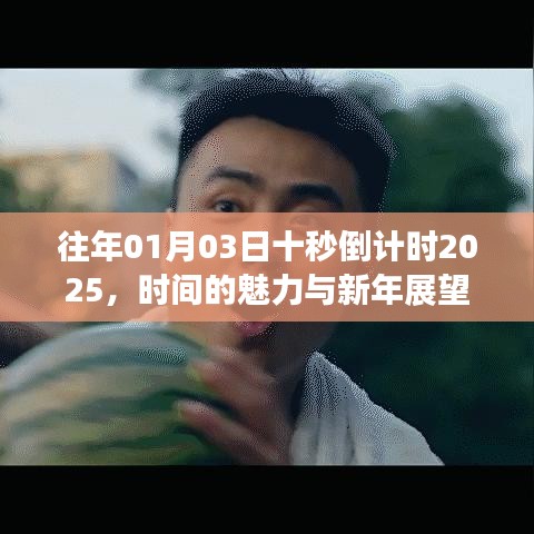 花香鸟语 第3页