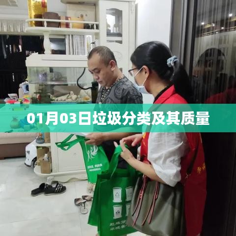 垃圾分类质量解析，日期为01月03日
